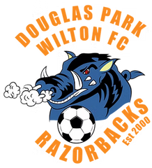 Douglas Park Wilton Football Club Logo - Deploy Football - Australia's Best Footballs & Soccer Balls
