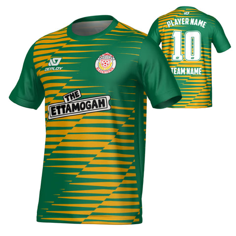 BDSFA SUMMER - STATIC - GREEN & YELLOW