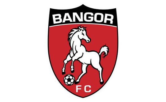 BANGOR BRUMBIES FOOTBALL CLUB