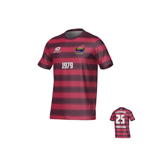 SDSFA SUMMER - CELTIC - MAROON