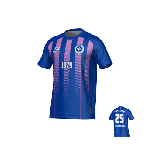 Streamline Jersey - Royal Blue & Purple