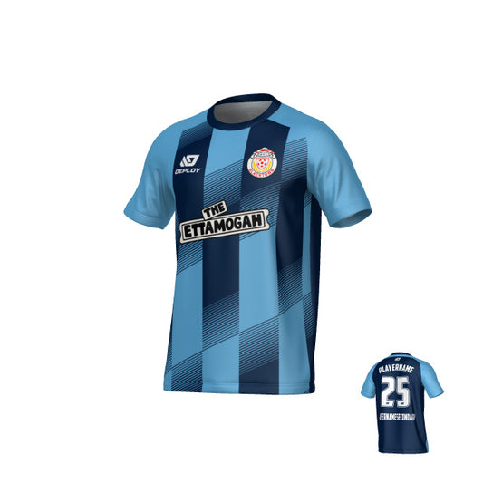 BDSFA SUMMER - VECTOR - NAVY & SKY BLUE