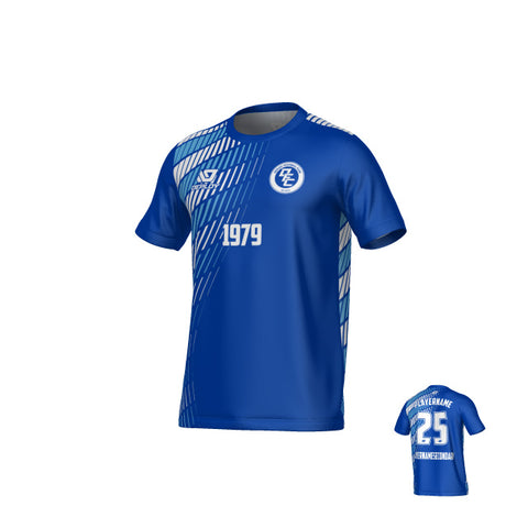 Spray Jersey - Royal Blue & Sky Blue