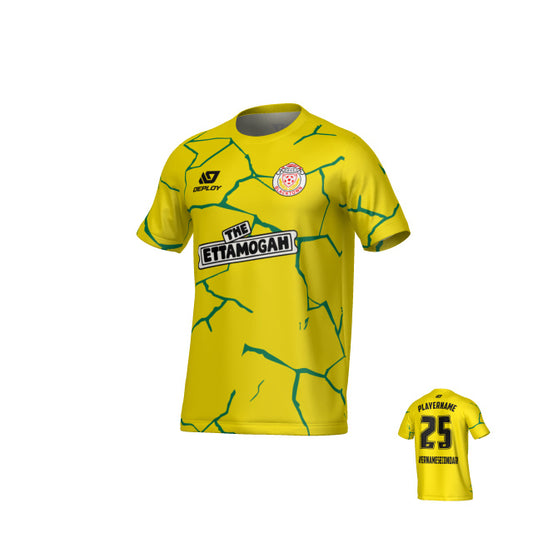 BDSFA SUMMER - CRACKS - YELLOW