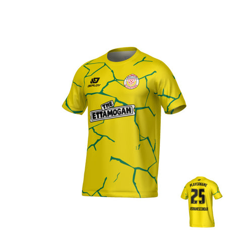 BDSFA SUMMER - CRACKS - YELLOW