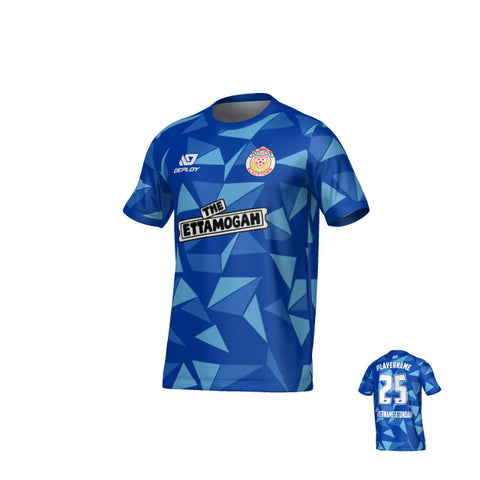 BDSFA SUMMER - SHARDS - BLUE