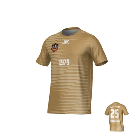 CHANDLER FUTSAL - STATIC - VEGAS GOLD