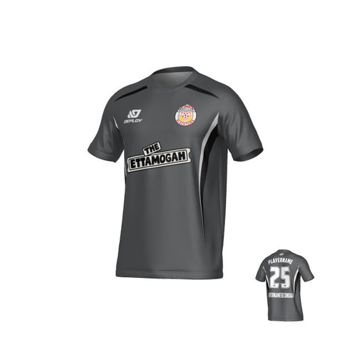BDSFA SUMMER - ARC - GREY