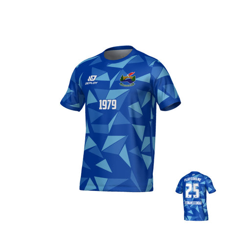 SDSFA SUMMER - SHARDS - BLUE