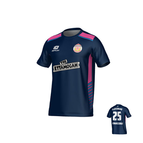 BDSFA SUMMER - APEX - NAVY & PINK
