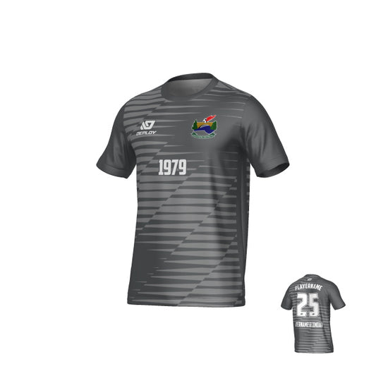 SDSFA SUMMER - STATIC - GREY