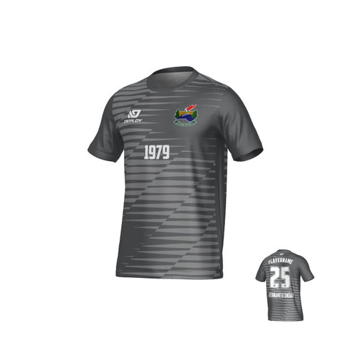 SDSFA SUMMER - STATIC - GREY