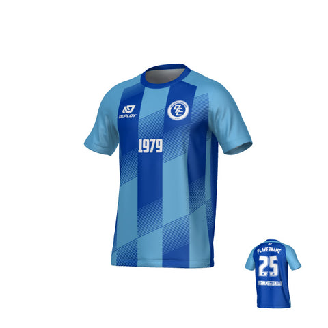 Vector Jersey - Royal Blue & Sky Blue