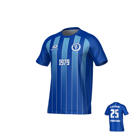 Streamline Jersey - Royal Blue & Sky Blue
