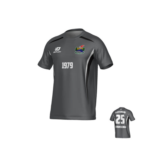 SDSFA SUMMER - ARC - GREY