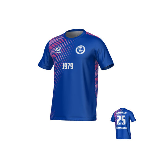 Spray Jersey - Royal Blue & Purple