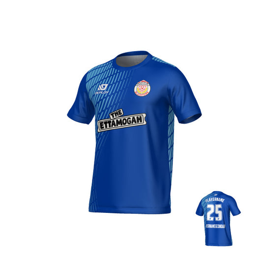 BDSFA SUMMER - SPRAY - BLUE