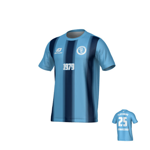 Pillars Jersey - Sky Blue & Navy